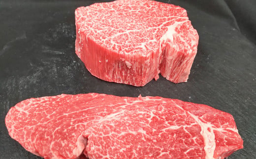 【常陸牛特選A5】ヒレステーキ250g×2枚 | 計500g 牛肉 肉 お肉 
