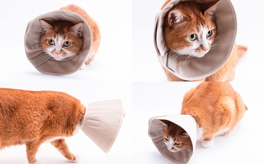 【LLサイズ】ぽぽねこ 軽くて柔らかい猫用エリザベスカラ