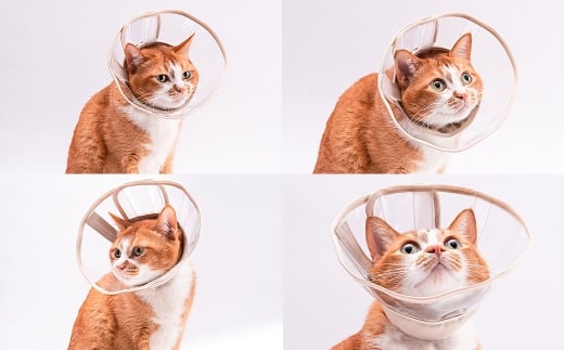 【Mサイズ】ぽぽねこ 軽くて柔らかい猫用エリザベスカラー