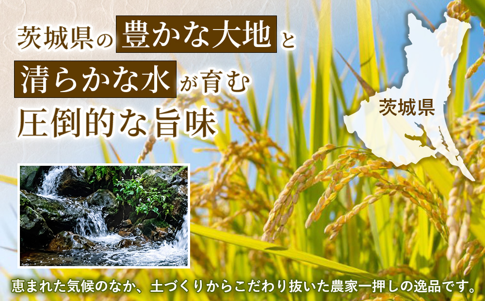 【定期便6ヶ月】【令和8年産】茨城コシヒカリ 10kg（5kg×2袋