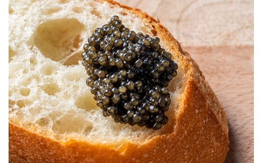 【先行予約】純国産 キャビア Voeu-Pense 20g 【茨城県共通返礼