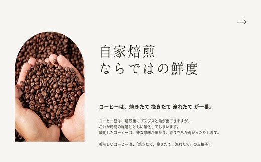 自家焙煎コーヒー「キリマンジャロ ジェヌイン ピーベリー