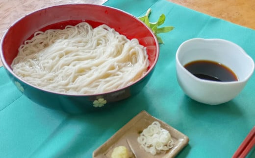 生そうめん 100g×5人前×2セット | そうめん 10人前 10食 セッ