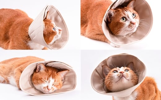 【LLサイズ】ぽぽねこ 軽くて柔らかい猫用エリザベスカラ