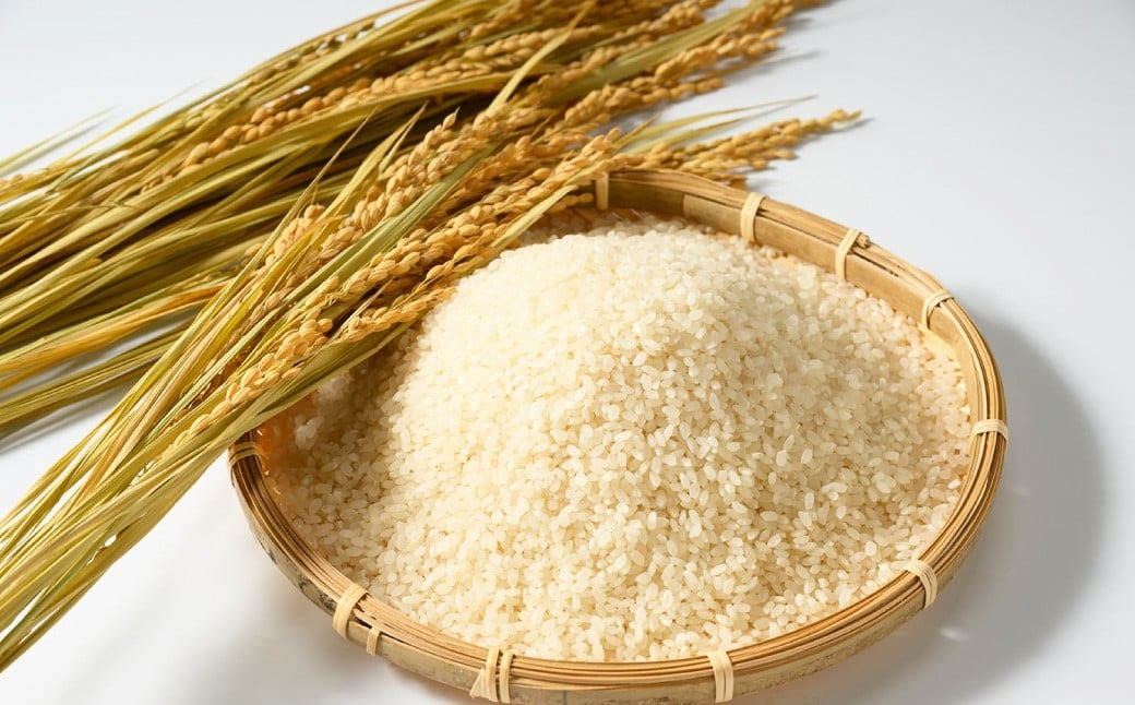 【令和7年産】茨城県産コシヒカリ 5kg 米 お米 おこめ コメ 