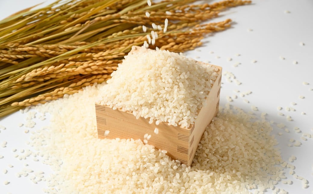 【令和7年産】茨城県産にじのきらめき 5kg 米 お米 おこめ 