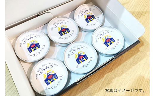 はちみつヨーグルトアイス　6個セット【お菓子・アイス・