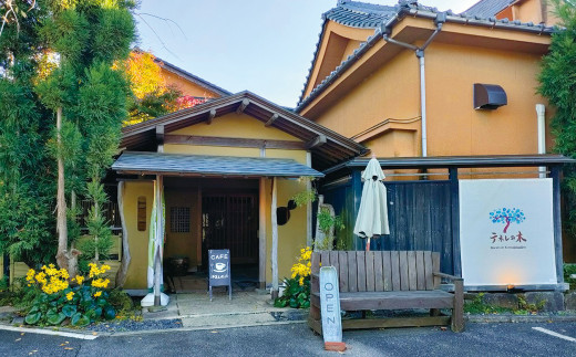 【3ヶ月定期便】 もりやさんち の のむヨーグルト 500ml 6本 