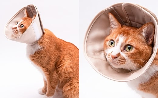 【Mサイズ】ぽぽねこ 軽くて柔らかい猫用エリザベスカラー
