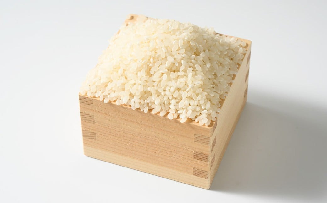 【令和7年産】茨城県産にじのきらめき 5kg 米 お米 おこめ 