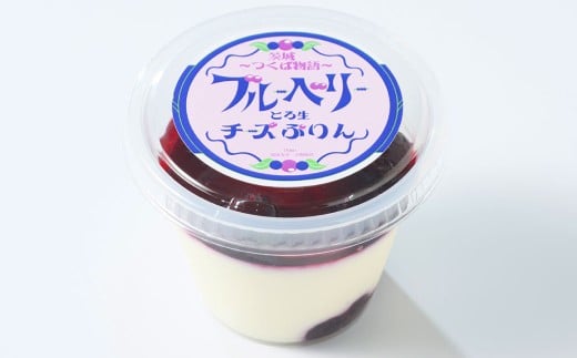 とろ生チーズプリン(ブルーベリーソース)3個セット | プリ