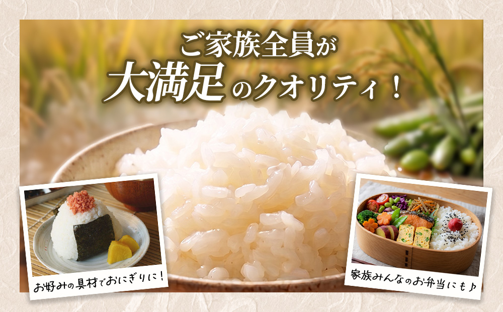 【定期便6ヶ月】【令和8年産】茨城コシヒカリ 10kg（5kg×2袋
