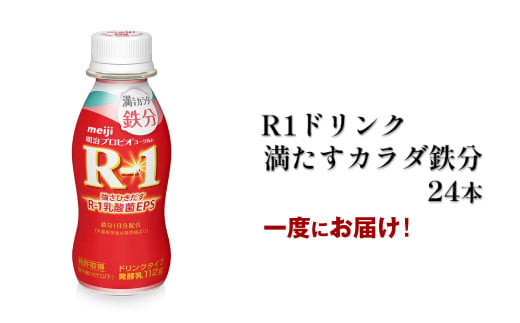 R?1ドリンク満たすカラダ鉄分　24本