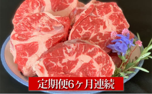 【定期便】常陸牛すね肉500g×2　6ヶ月連続お届け
