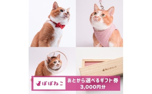 ぽぽねこギフト券（Eメールタイプ）3,000円分「共通返礼品