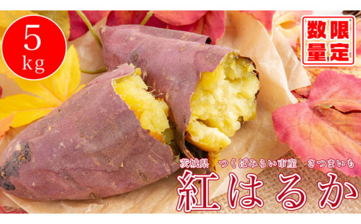 オーガニックさつまいも5kg【農薬・肥料不使用】【茨城県