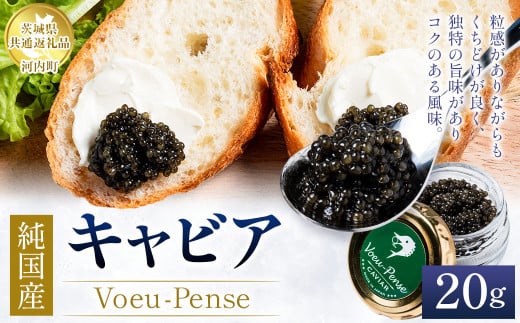 【先行予約】純国産 キャビア Voeu-Pense 20g 【茨城県共通返礼