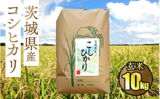 令和5年茨城県産コシヒカリ10kg【玄米】
