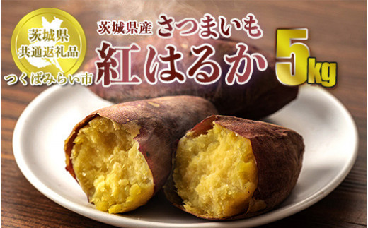 【先行予約】さつまいも 紅はるか 約5kg 旬 芋 お芋 サツマ