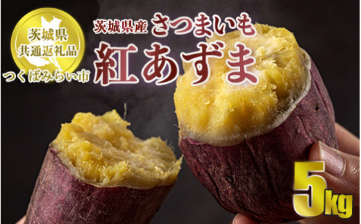 【先行予約】さつまいも 紅あずま 約5kg 旬 芋 お芋 サツマ