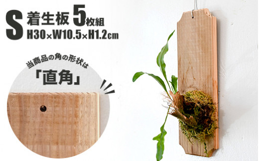 【着生板】Sサイズ 5枚組「角の形状：直角」