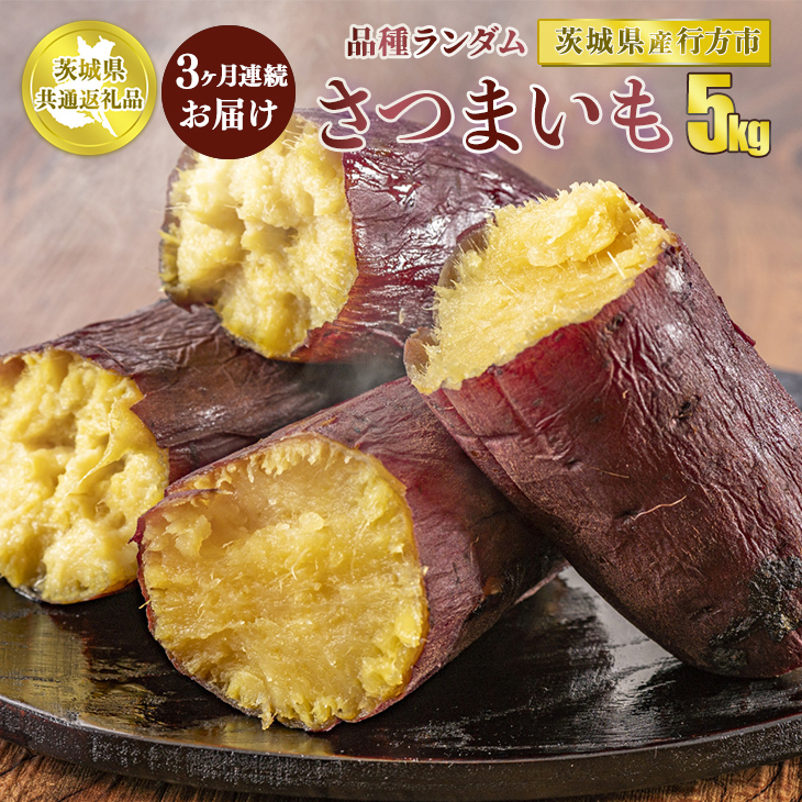 【先行予約】【茨城県共通返礼品　行方市産】【定期便】