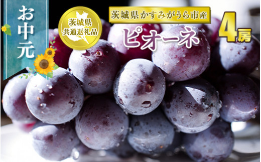 お中元 ピオーネ 4房【茨城県共通返礼品 かすみがうら市】