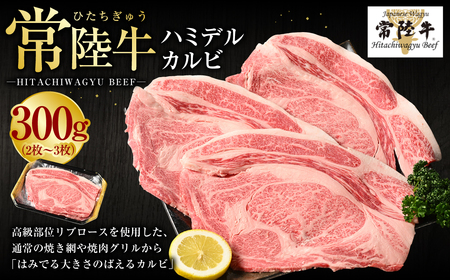 【年内発送 12/17迄受付】【常陸牛】ハミデルカルビ300g（2～