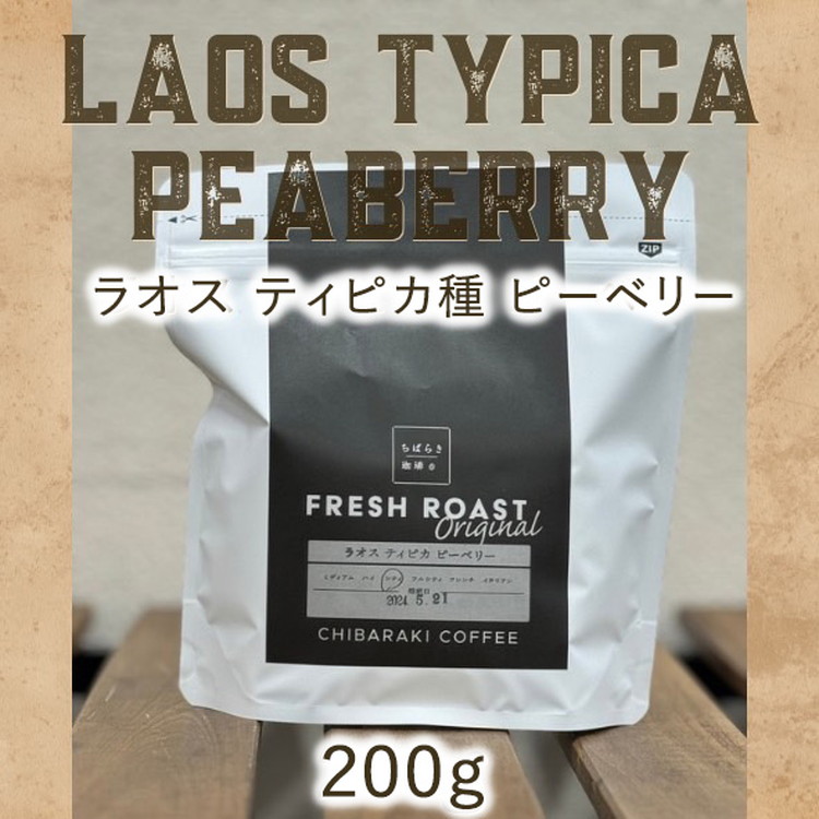 自家焙煎コーヒー「ラオス ティピカ種 ピーベリー」（豆）