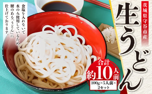 生うどん 100g×5人前×2セット | うどん 10人前 10食 セット 麺 