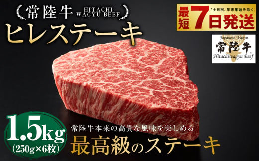 【常陸牛】ヒレステーキ 250g×6枚 | 計1.5kg 牛肉 肉 お肉 ヒレ