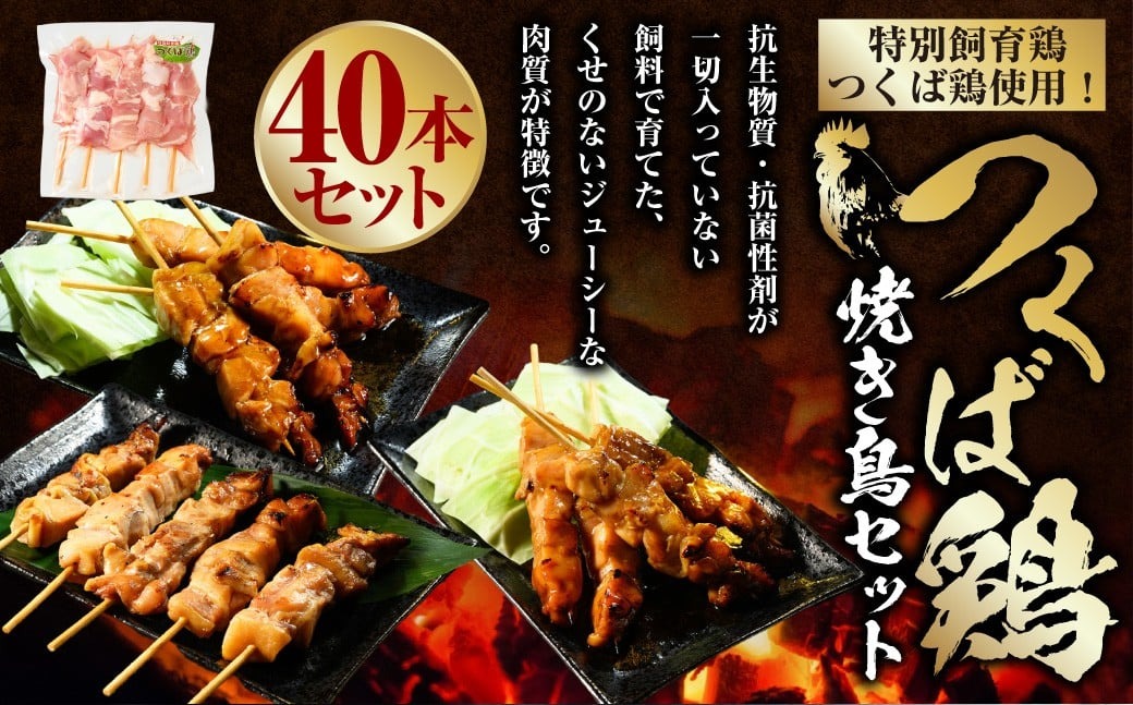 つくば鶏 焼き鳥セット 40本 焼き鳥 焼鳥 もも肉 ネギま ネ