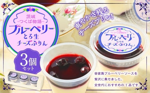 とろ生チーズプリン(ブルーベリーソース)3個セット | プリ