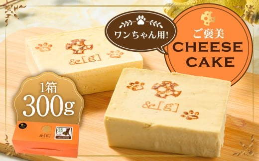 ワンちゃん用！ご褒美 cheese cake | ペット デザート スイーツ