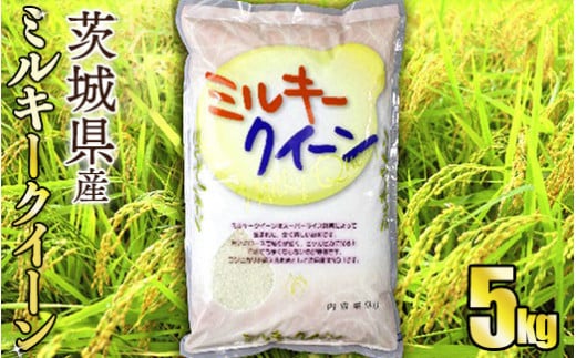 令和5年産茨城ミルキークイーン 5kg【お米・米・ミルキーク