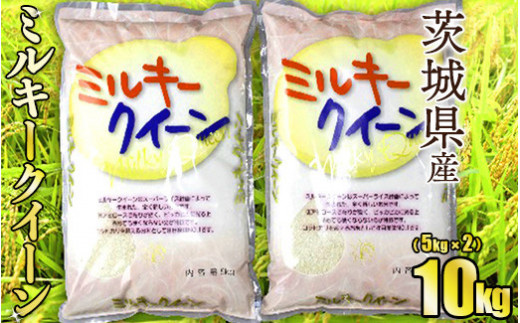 令和5年産茨城ミルキークイーン 5kg×2【お米・米・ミルキー