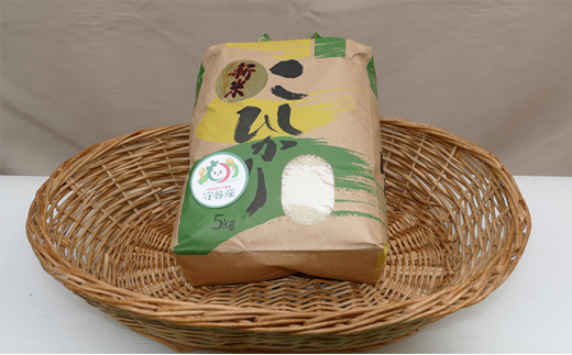 令和7年産 コシヒカリ　5kg ｜ お米・コシヒカリ・5kg・米・