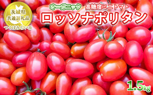 オーガニック高糖度ミニトマト「ロッソナポリタン」【農