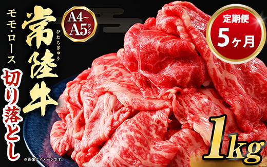 【定期便 5ヶ月】【常陸牛】切り落とし1kg（茨城県共通返礼