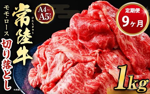 【定期便 9ヶ月】【常陸牛】切り落とし1kg（茨城県共通返礼