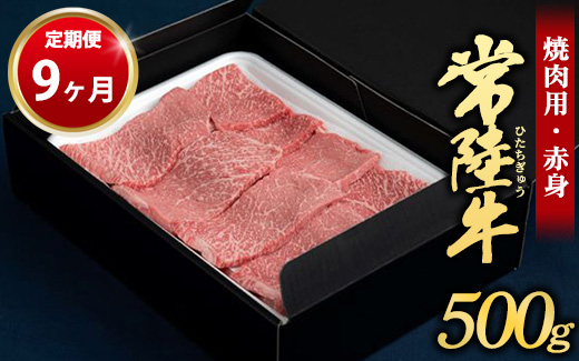 【定期便 9ヶ月】常陸牛焼肉用（赤身）500g（茨城県共通返
