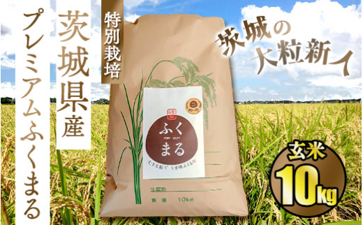 ☆茨城の大粒新人 プレミアムふくまる特別栽培米10kg【玄米