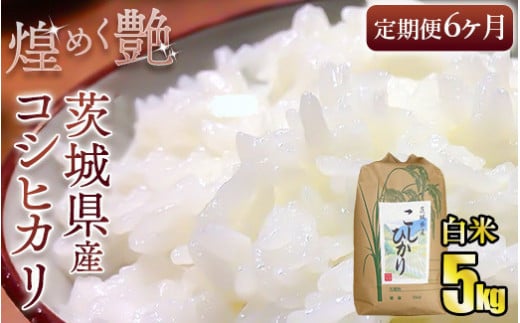 【定期便6ヶ月連続】煌めく艶 令和6年 茨城県産 コシヒカリ