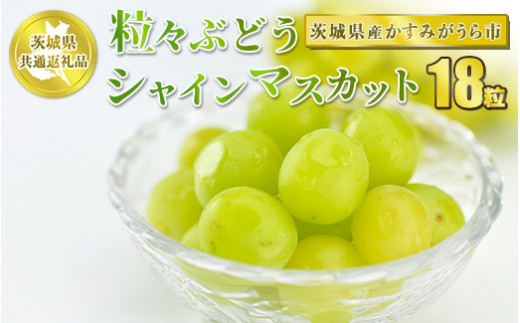 粒々ぶどう 合計18粒 シャインマスカット【茨城県共通返礼