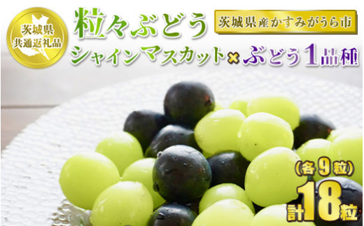 粒々ぶどう 合計18粒 各9粒 シャインマスカットとぶどう1品