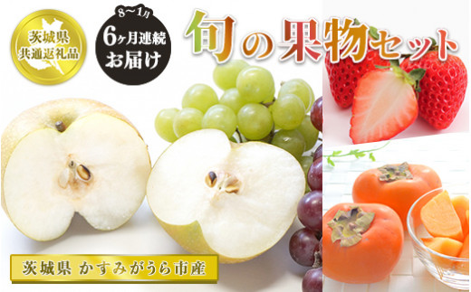 【先行予約】【定期便】果物セット 旬 6ヵ月連続（8、9、10