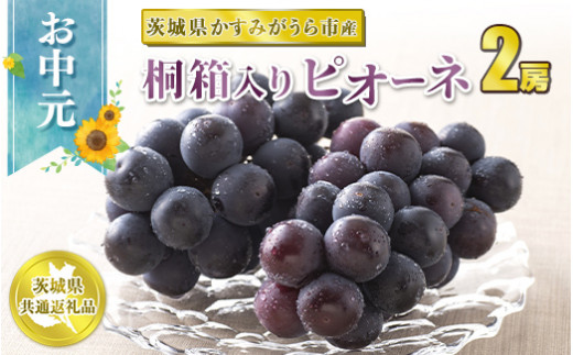 お中元 ピオーネ桐箱入り2房 【茨城県共通返礼品 かすみが