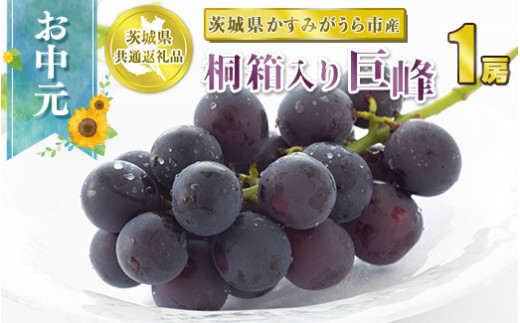 お中元 巨峰 桐箱入り1房【茨城県共通返礼品 かすみがうら