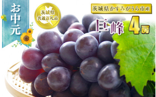 お中元 巨峰 4房【茨城県共通返礼品 かすみがうら市】　※2
