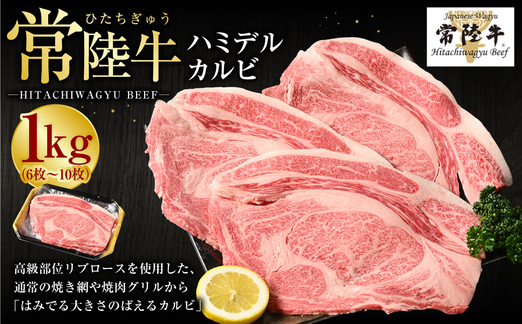 【年内発送 12/17迄受付】【常陸牛】ハミデルカルビ1kg（6枚